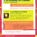 Affiche PERALTA – 9 novembre-1 – Copie (2)