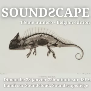 Soundƨcape
